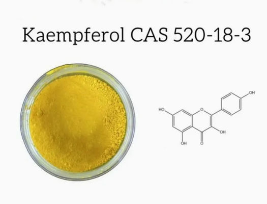 Complément de soins de santé Poudre de Kaempférol Extrait de Galanga N° CAS 520-18-3 Pure Natura