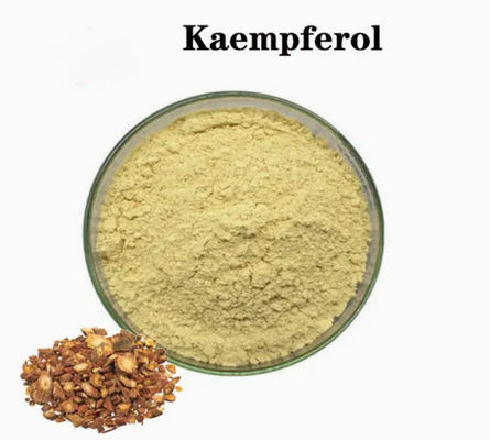 Complément de soins de santé Poudre de Kaempférol Extrait de Galanga N° CAS 520-18-3 Pure Natura