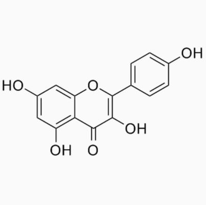 Complément de soins de santé Poudre de Kaempférol Extrait de Galanga N° CAS 520-18-3 Pure Natura