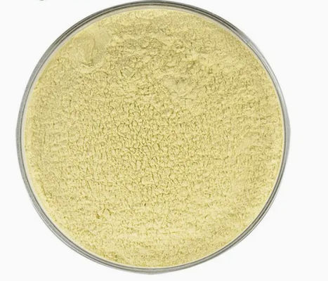 Complément de soins de santé Poudre de Kaempférol Extrait de Galanga N° CAS 520-18-3 Pure Natura