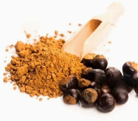 Supplément de santé Extrait de paullinia cupana Cas n° 84929-28-2 Extrait de graines de guarana