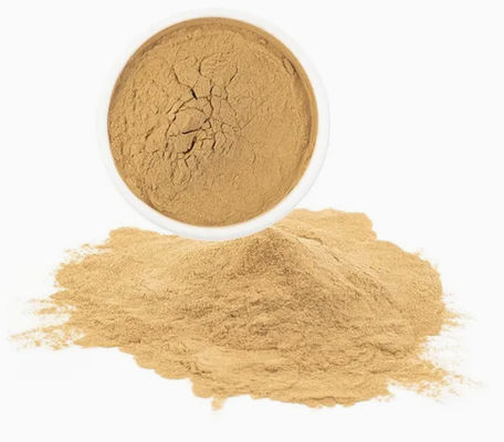 Complément alimentaire Extrait de Paullinia Cupana N° CAS 84929-28-2 Extraits de graines de guarana