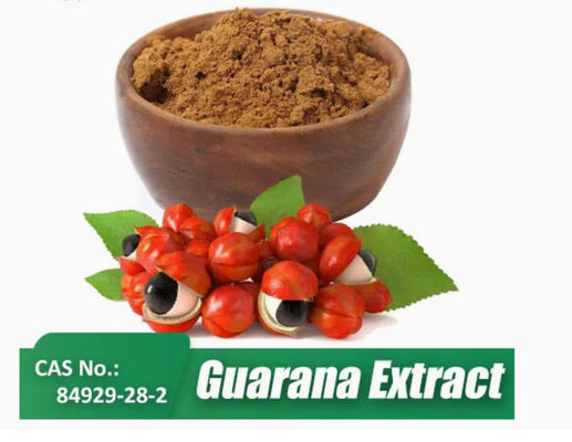 Supplément de santé Extrait de paullinia cupana Cas n° 84929-28-2 Extrait de graines de guarana