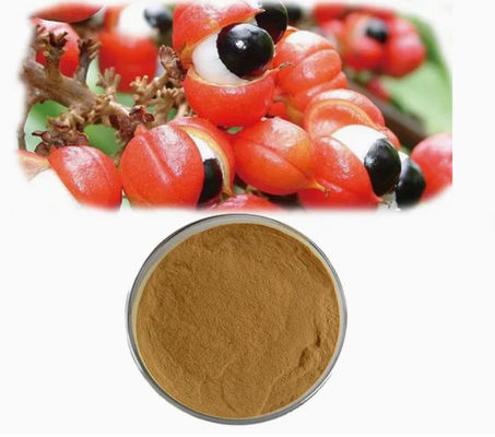 Supplément de santé Extrait de paullinia cupana Cas n° 84929-28-2 Extrait de graines de guarana