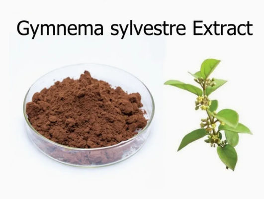 Extrait végétal Gymnema Sylvestre Extrait CAS NO 90045-47-9 Extrait de racine ou d'herbe en poudre