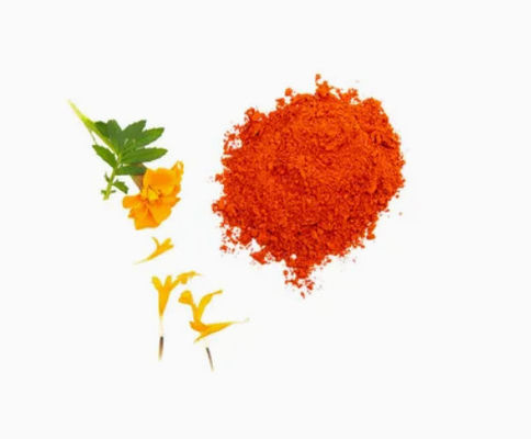 Lutéine naturelle 5% 20% en poudre CAS No 127-40-2 Pigment en poudre naturel pour alimentation animale