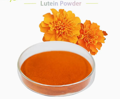 Lutéine naturelle 5% 20% en poudre CAS No 127-40-2 Pigment en poudre naturel pour alimentation animale