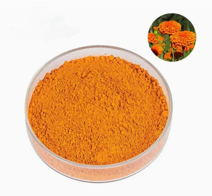 Lutéine naturelle 5% 20% en poudre CAS No 127-40-2 Pigment en poudre naturel pour alimentation animale