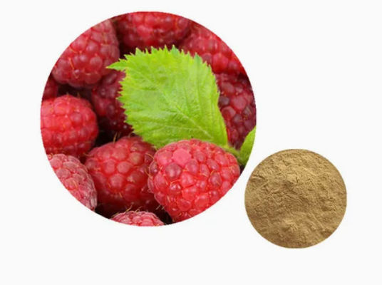 Extrait naturel de framboise 10/1 CAS NO 38963-94-9 Poudre d'extrait pur Poudre de framboise