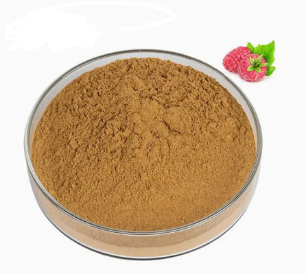 Extrait naturel de framboise 10/1 CAS NO 38963-94-9 Poudre d'extrait pur Poudre de framboise