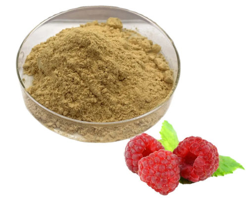 Extrait naturel de framboise 10/1 CAS NO 38963-94-9 Poudre d'extrait pur Poudre de framboise