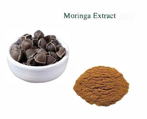 Extrait naturel de moringa de plante 10/1 CAS NO 93165-54-9 Moringa oleifera en poudre