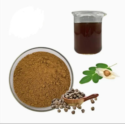 Extrait naturel de moringa de plante 10/1 CAS NO 93165-54-9 Moringa oleifera en poudre