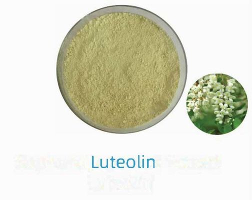 Extrait végétal naturel de lutéoline 98% CAS NO 491-70-3 HPLC Poudre antivirale de lutéoline