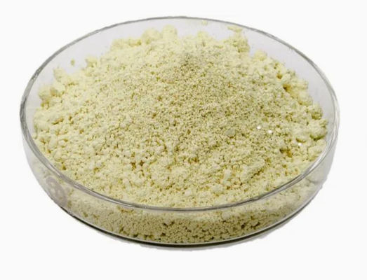 Extrait végétal naturel de lutéoline 98% CAS NO 491-70-3 HPLC Poudre antivirale de lutéoline