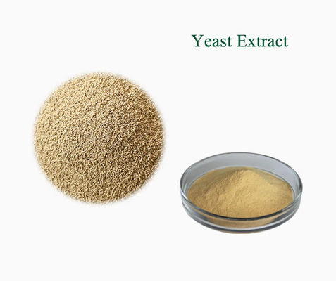 Extrait de levure naturel 100% certifié ISO CAS NO 8013-01-2 Exhausteurs de goût alimentaires