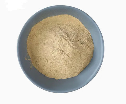 Extrait de levure naturel 100% certifié ISO CAS NO 8013-01-2 Exhausteurs de goût alimentaires