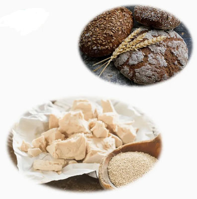 Extrait de levure naturel 100% certifié ISO CAS NO 8013-01-2 Exhausteurs de goût alimentaires