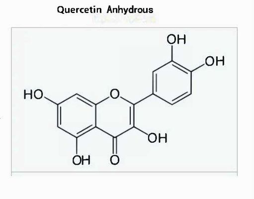 Extrait végétal de qualité pharmaceutique de quercétine anhydre CAS NO 117-39-5 Poudre jaune