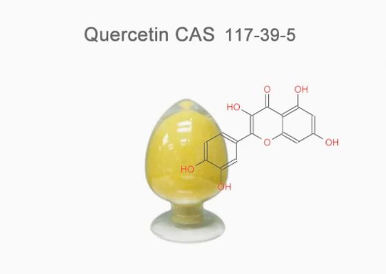 Extrait végétal de qualité pharmaceutique de quercétine anhydre CAS NO 117-39-5 Poudre jaune