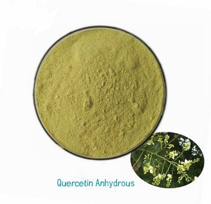 Extrait végétal de qualité pharmaceutique de quercétine anhydre CAS NO 117-39-5 Poudre jaune